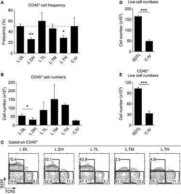 Phenotype and Tissue Residency of Lymphocytes in the Murine Oral Mucosa